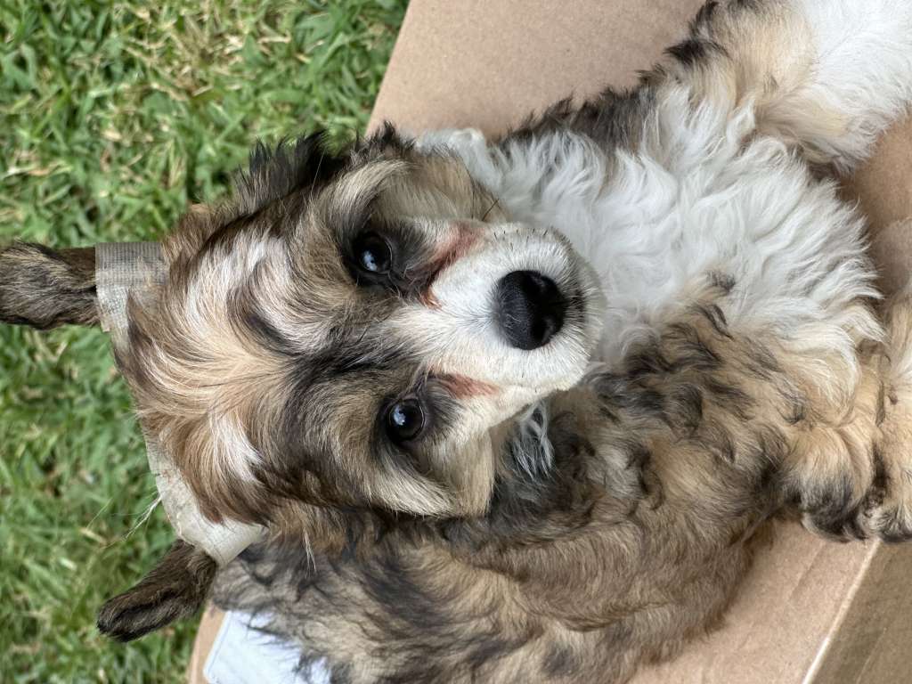 Jushae's Southern Chill