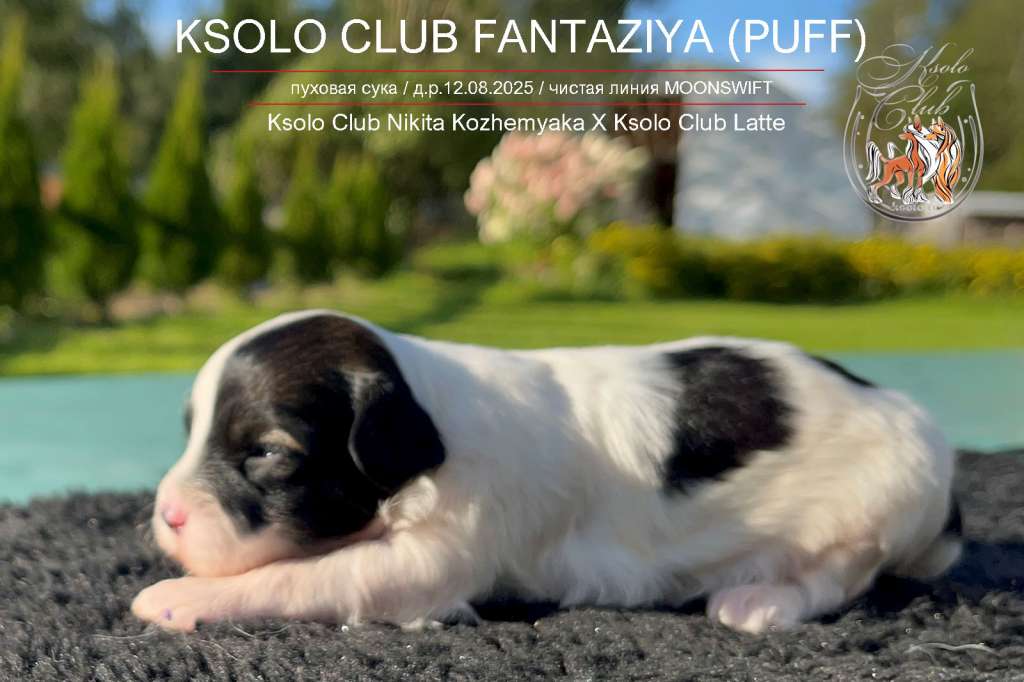 Ksolo Club Fantaziya