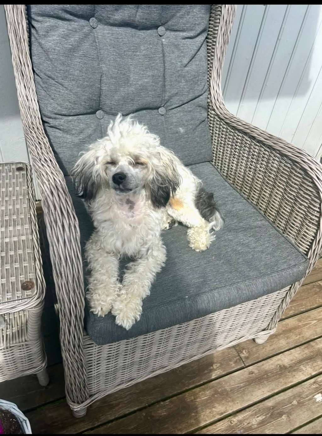 Chagiya's Umberlee Queen Of The Sea