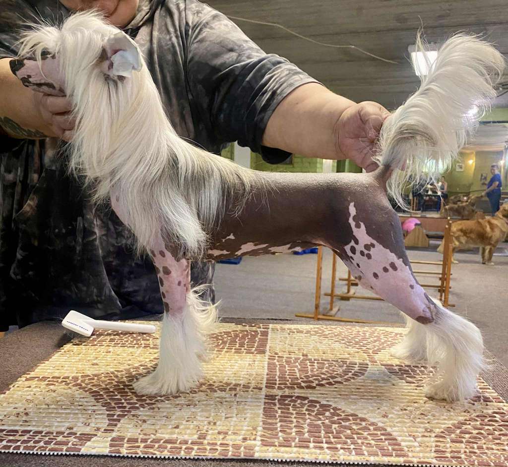 Margarita Pearl Minodora