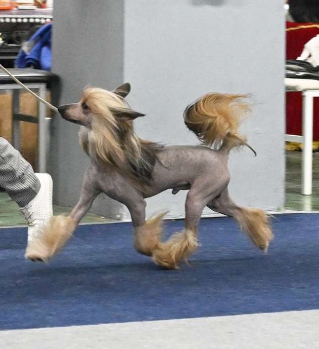 Laisan Island Bagration