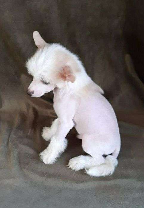 Magic of Success Sky