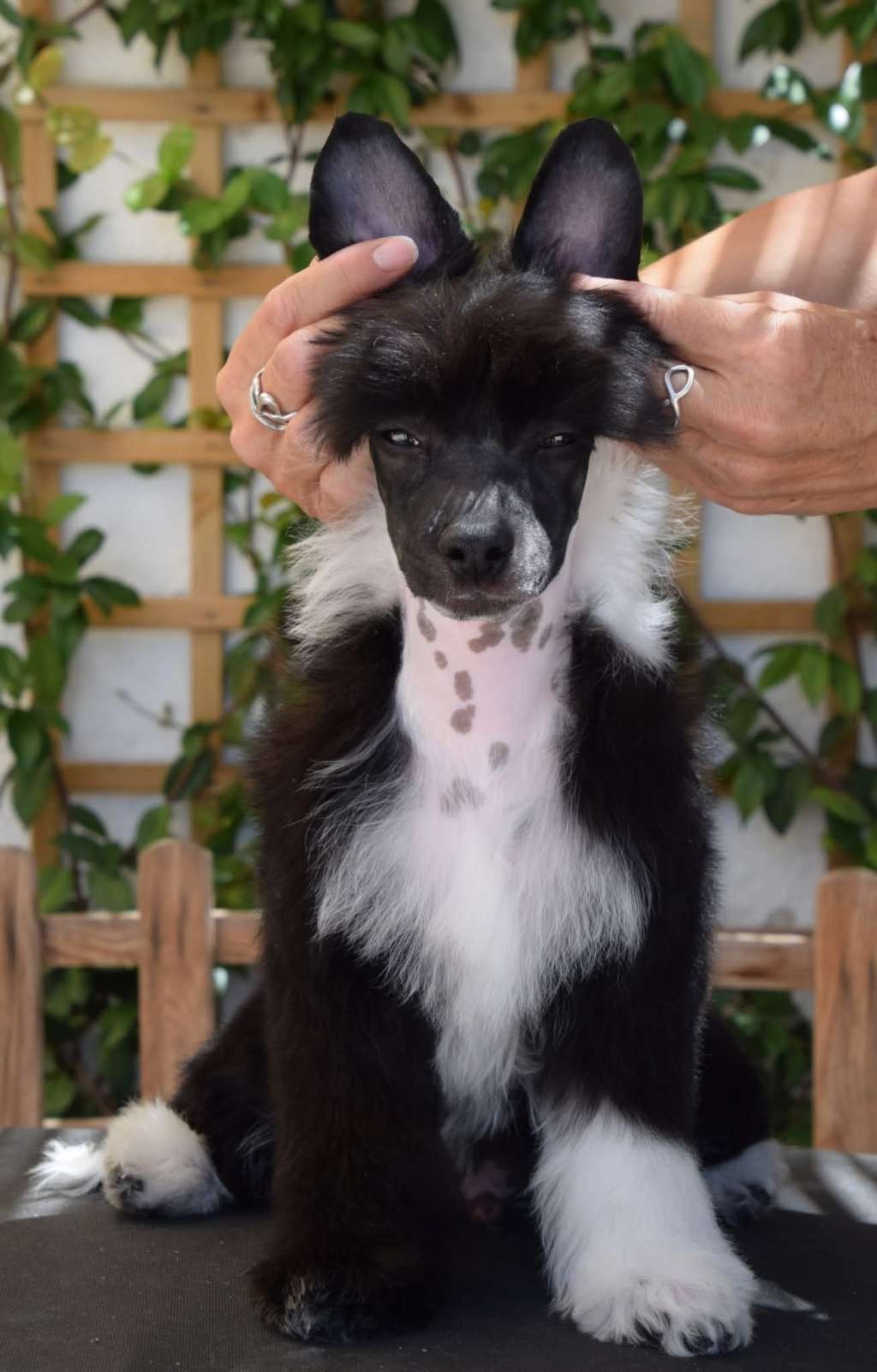 Zelendaya i'll Be There Four you