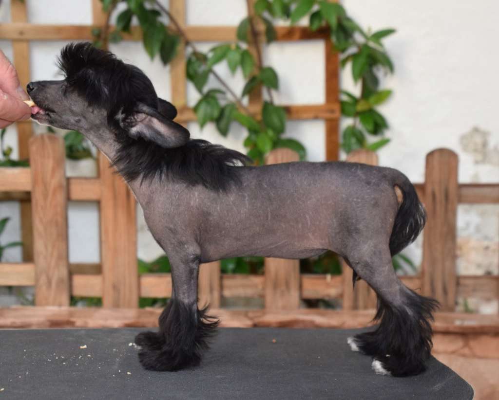 Zelendaya Just Can't get Enough