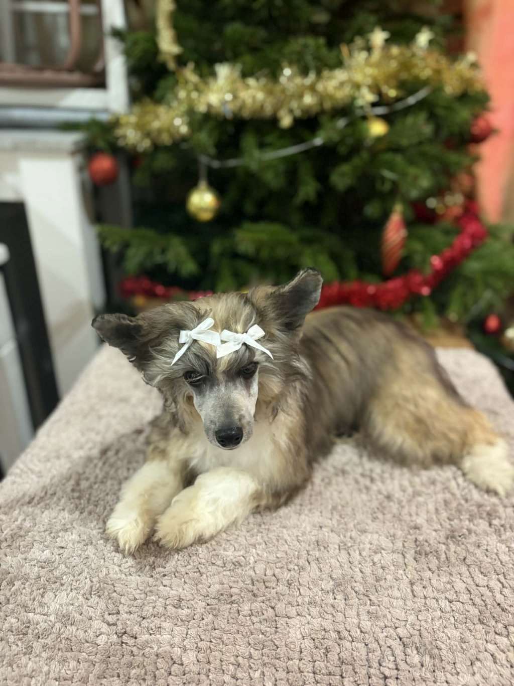 Golden Deer Odüsszeusz