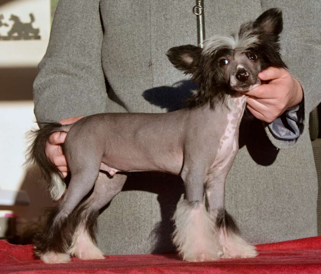 B ... z Andelovy dlane