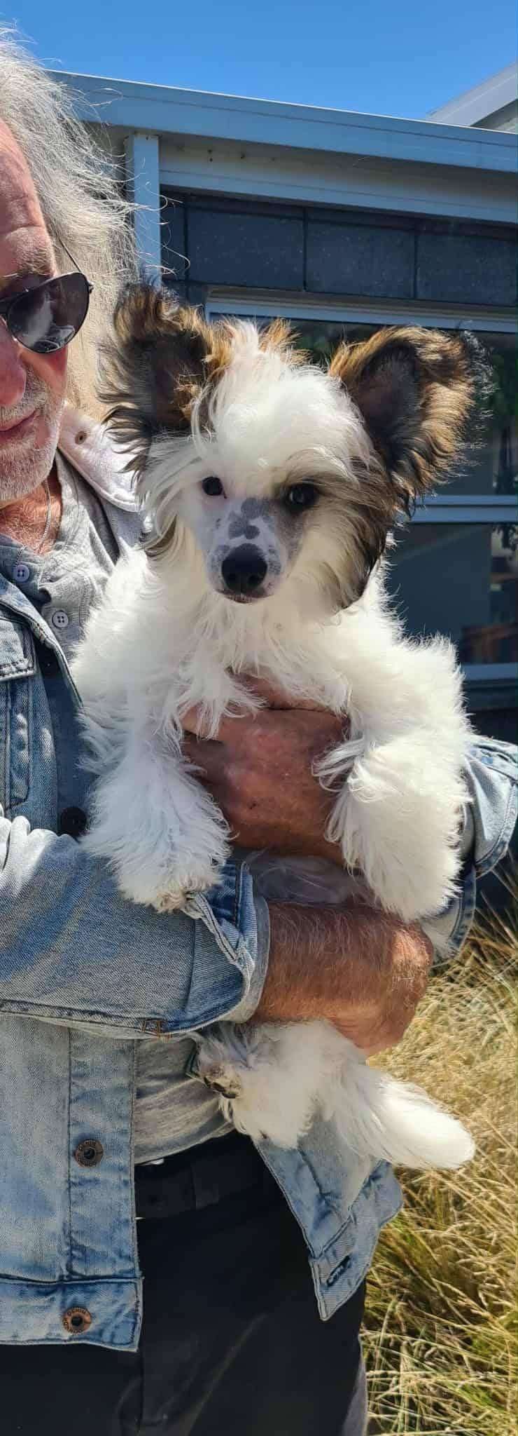 Koreke Leonard Of-Mayfair