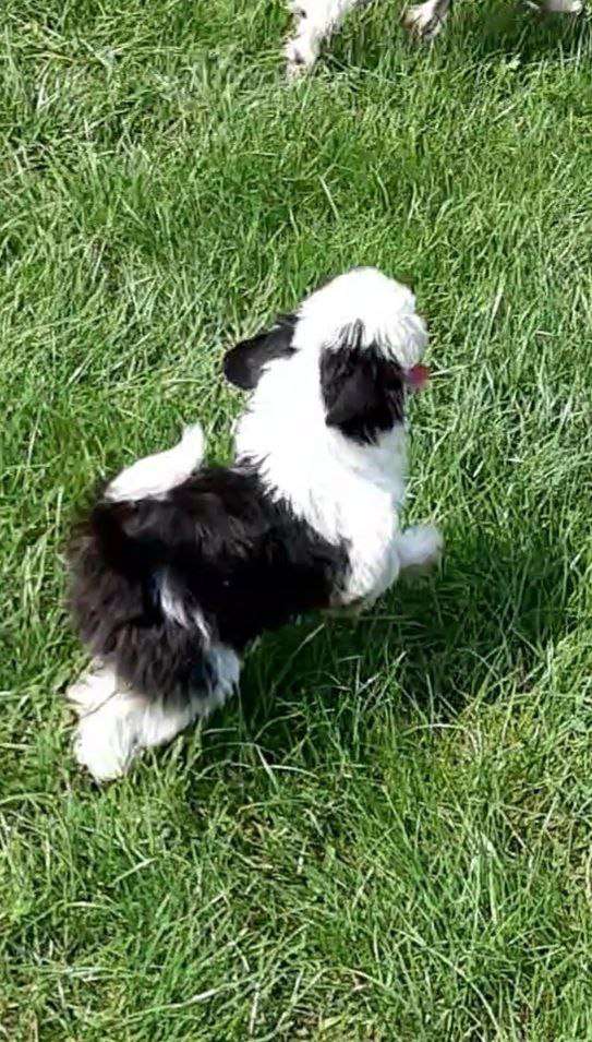 Magic of Success Donna Rose