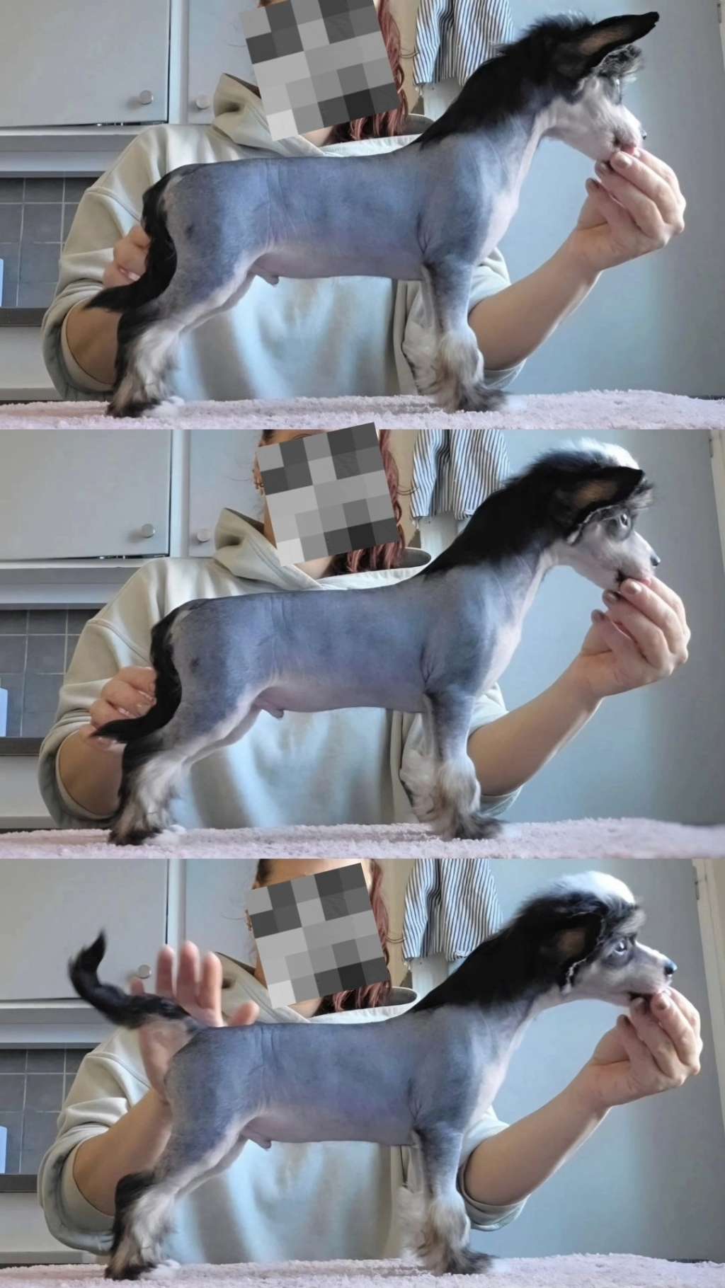 EXxiino's Holidays In Fiji