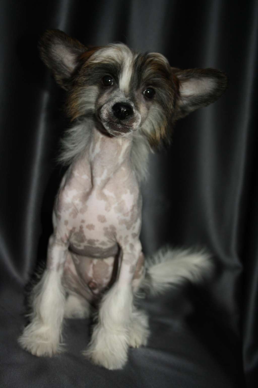 Izabel Crystals Redkij Brilliant