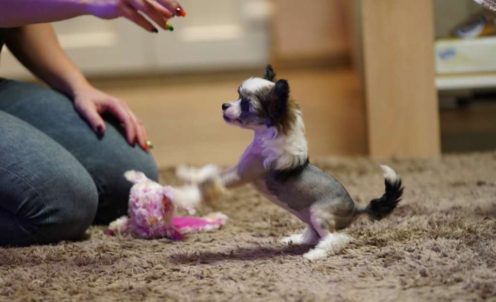 Licky Lips Very Berry