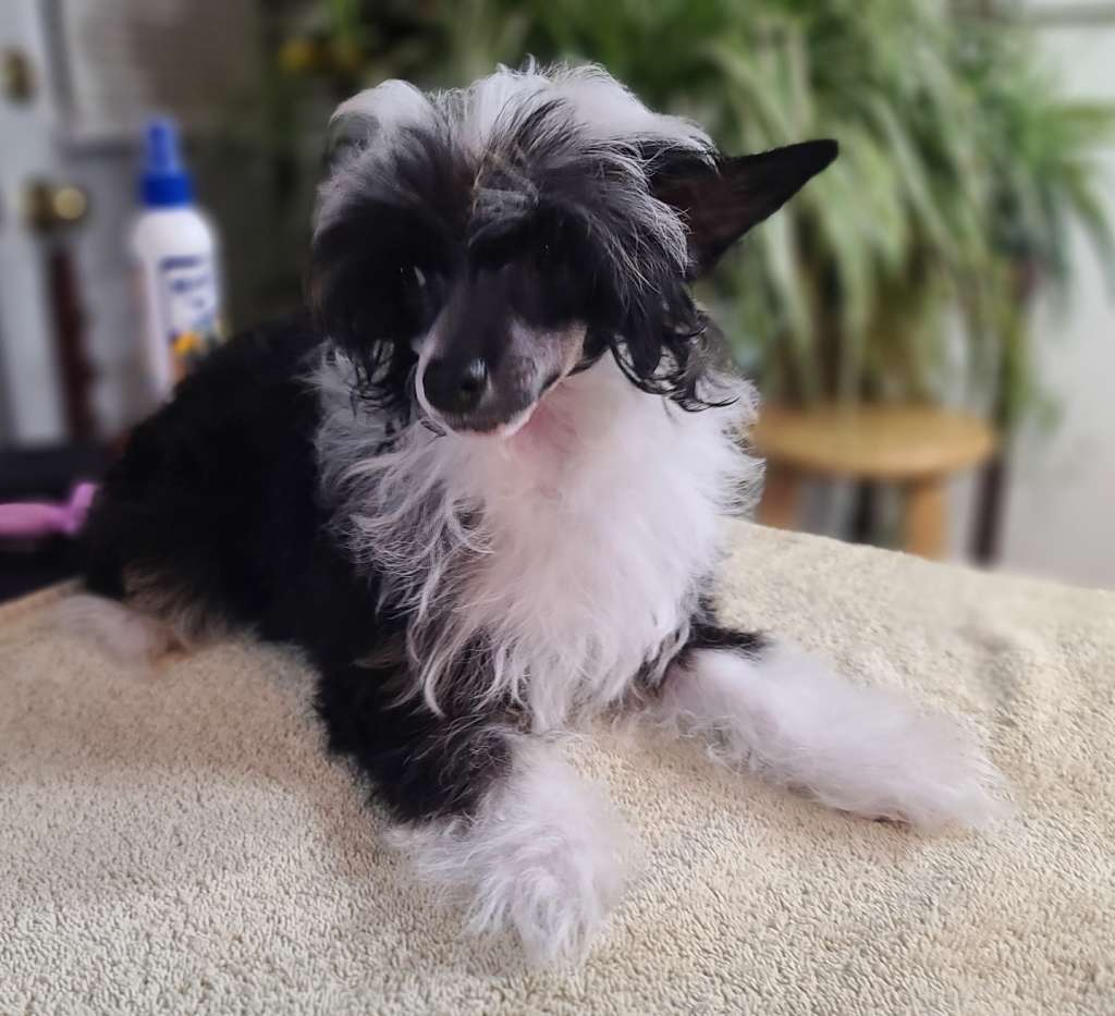 Long Haul's N'Ever Ending Claim to Fame