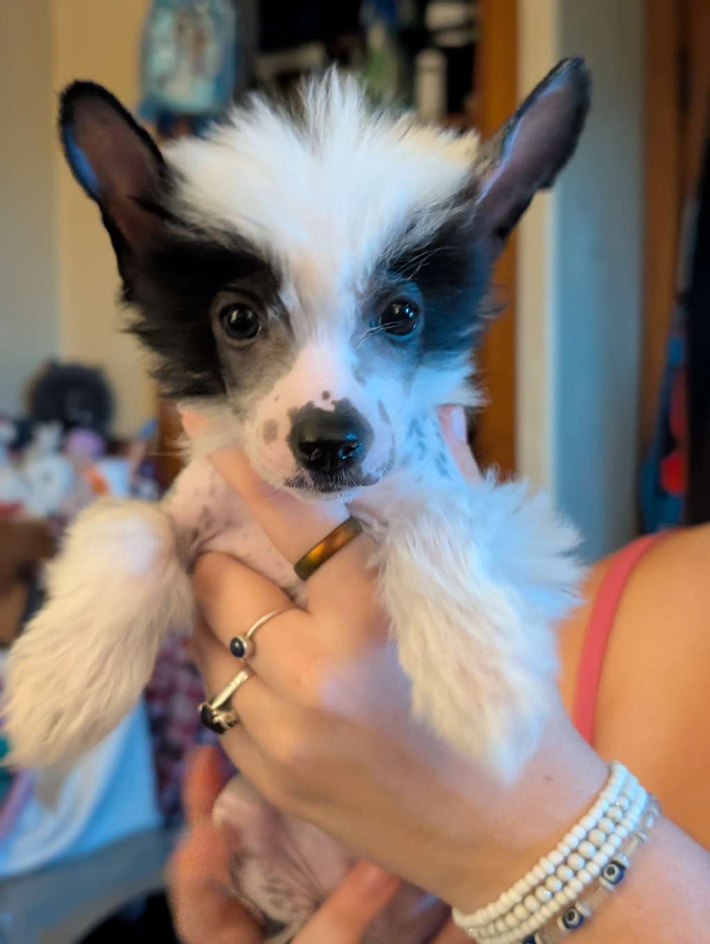 Av Dragon's Sacred Cleansing Smoke