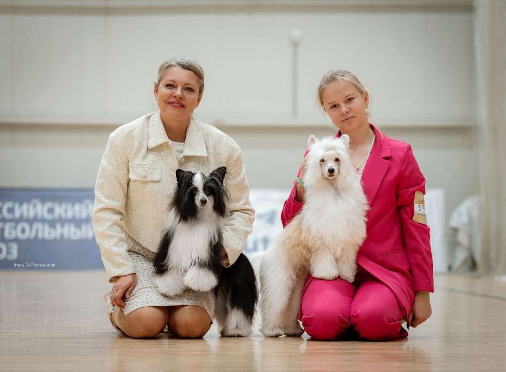 Simba Zacharovyvayushchiy Dushu