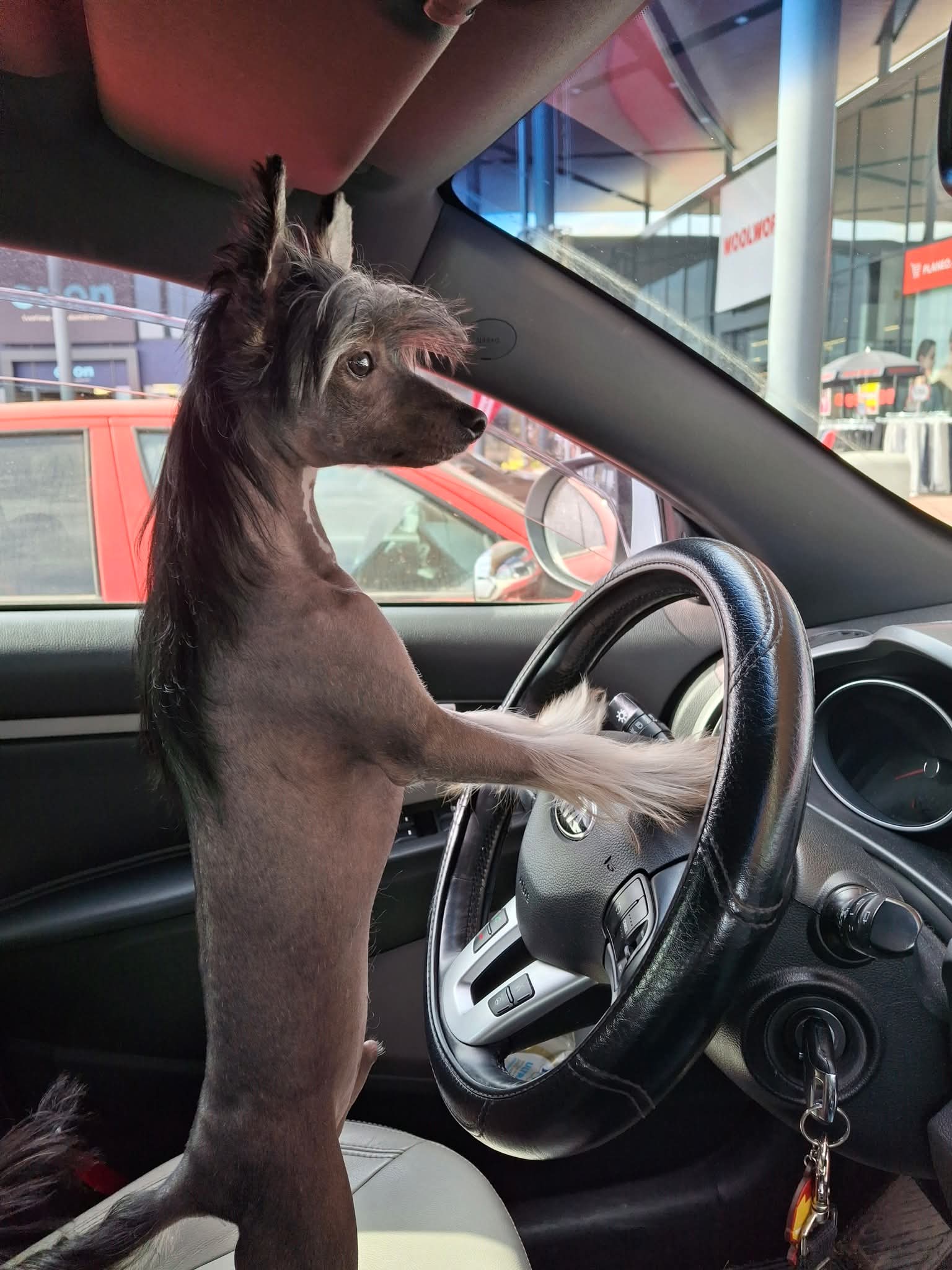 Unique James Avokaduh