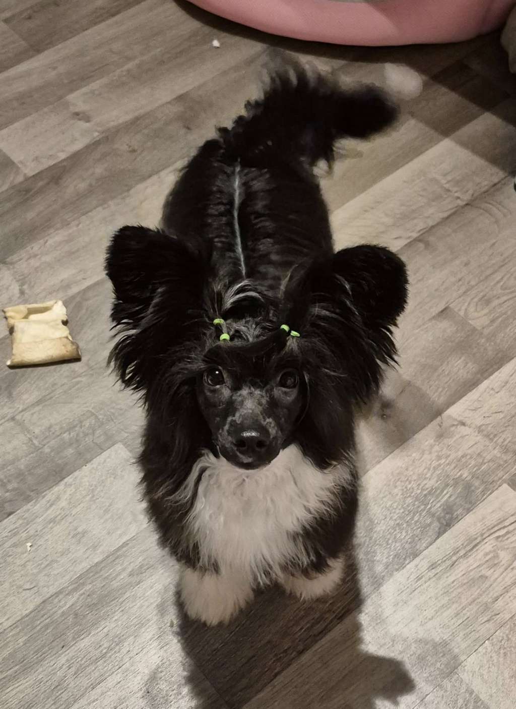 Xtra Bold Perfect Ten Liners