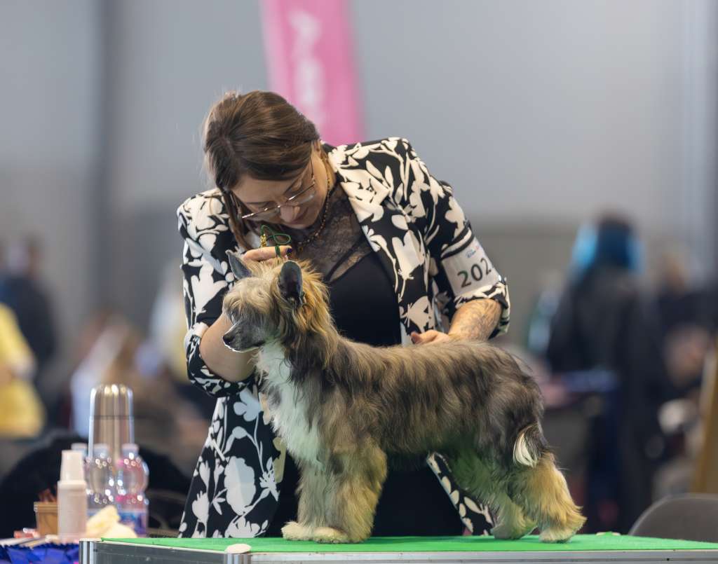 Omg I Am Super Star Modern Family