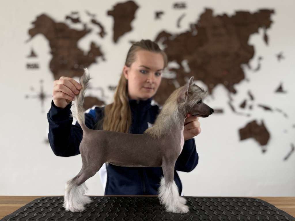 Leed's Infinity Aguiar de Carvalho