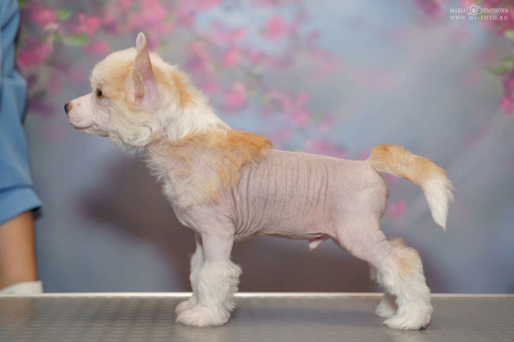 Grand Passage Intrigan