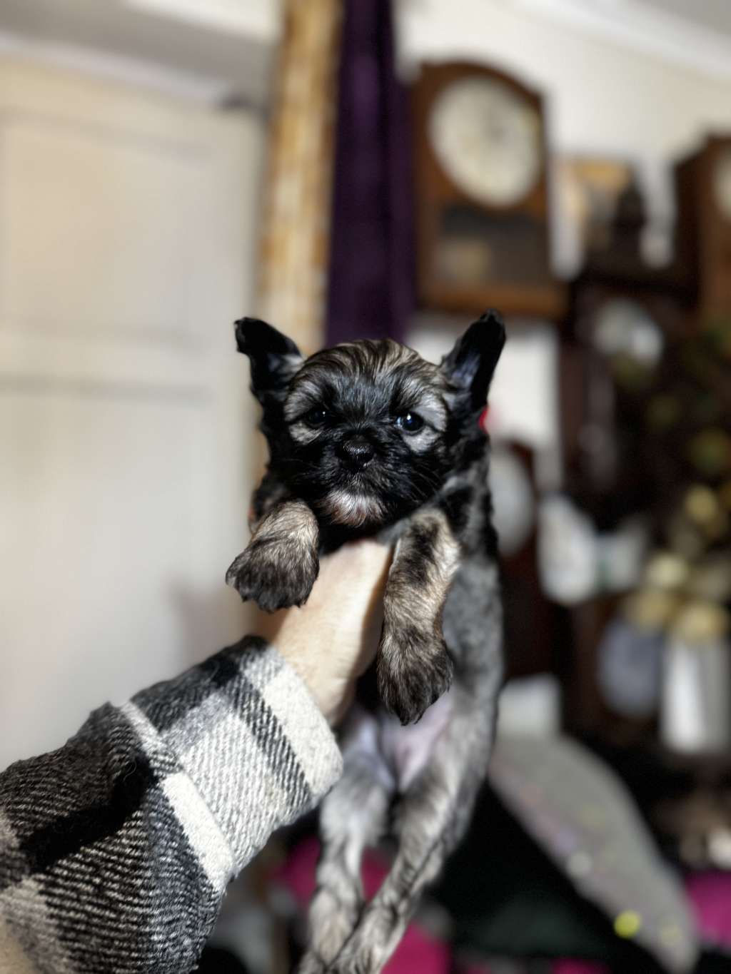 Golden Farewell de Lybóriu's Legacy