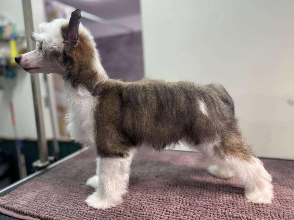 Miakoda's World On A String