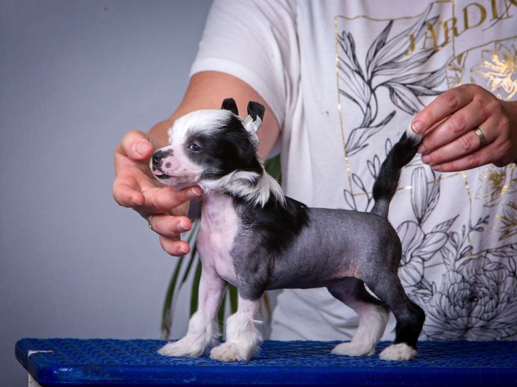Babou od André a Sábi