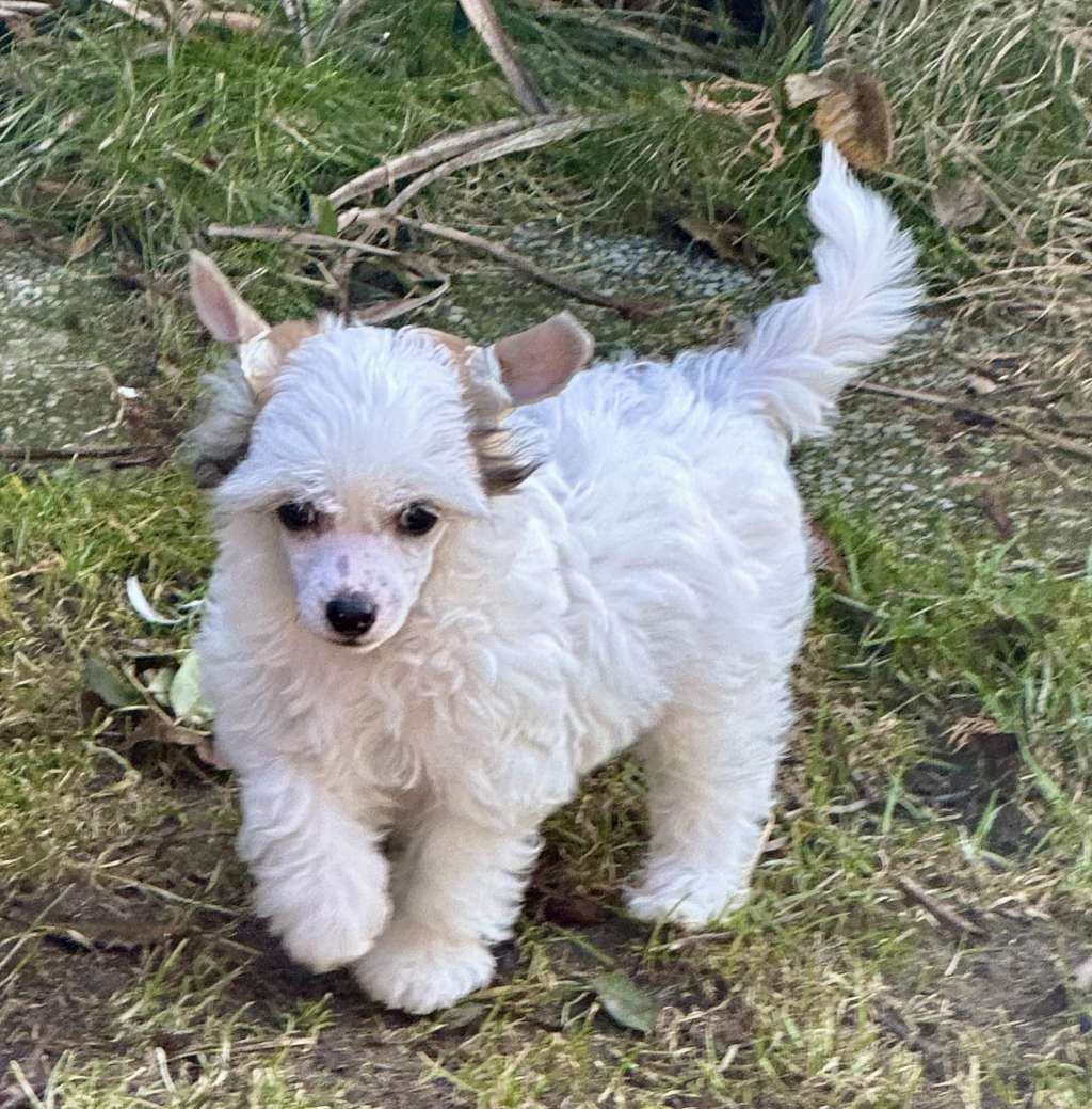 Arctic Light von Shinbashi