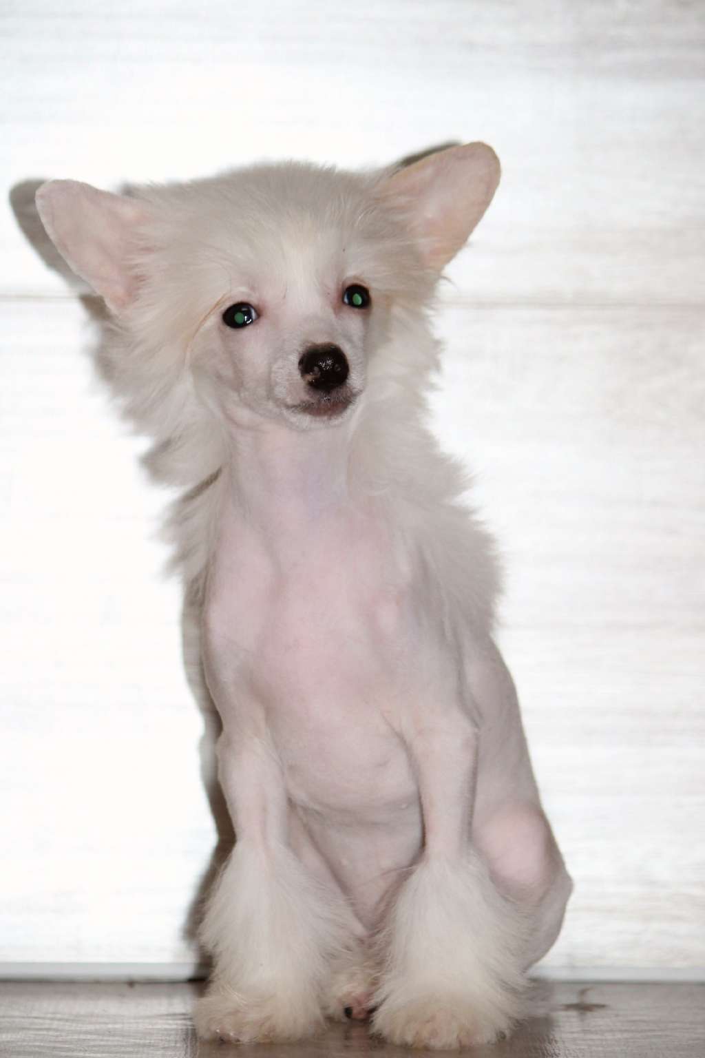 Veterok S Teplogo Morya