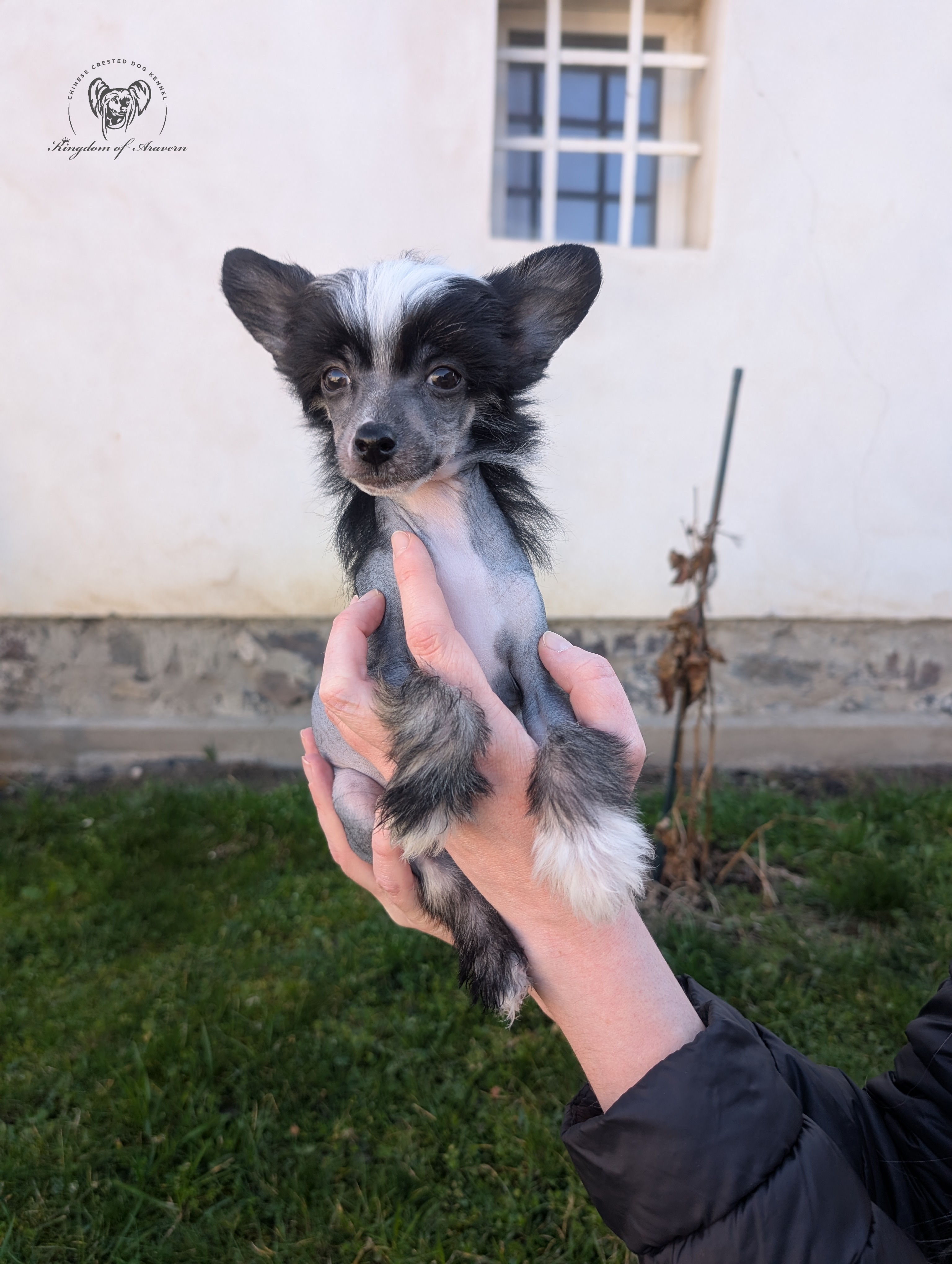 Berushka Kingdom of Aravern