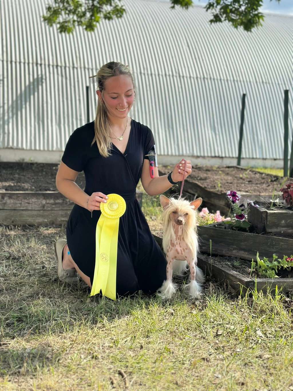 Gr. Ch EverCrest's It's Going Down