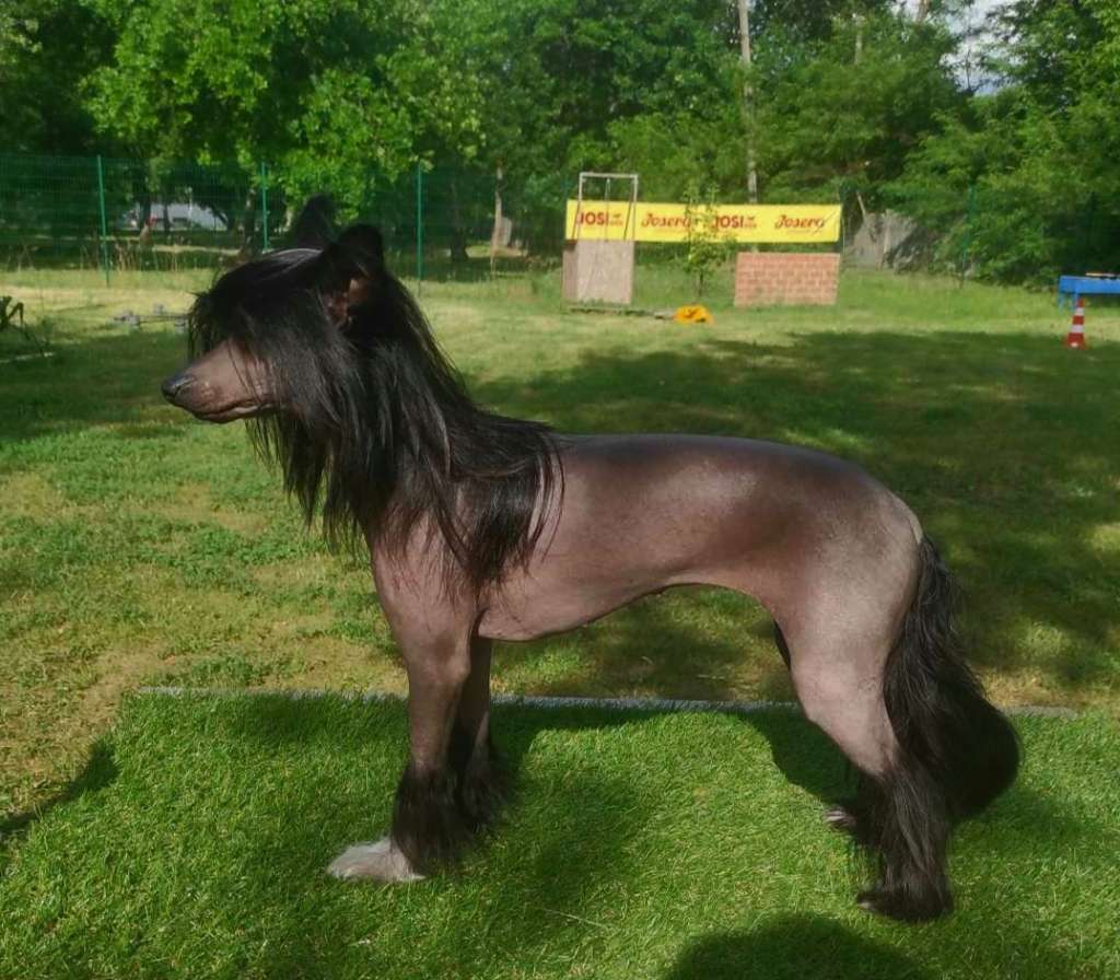 Parkin Megastyle Derika