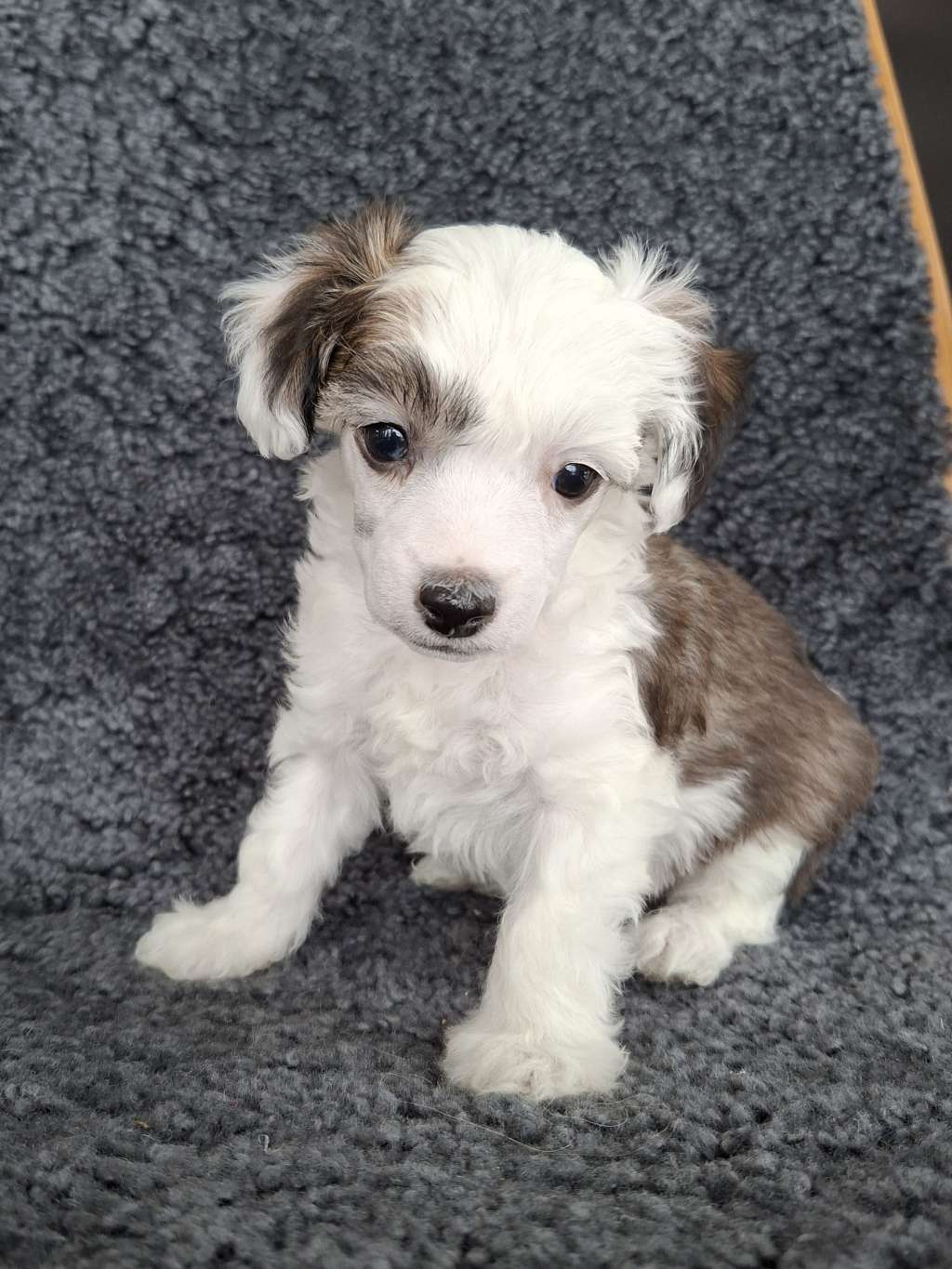 Krysolit One In A Million