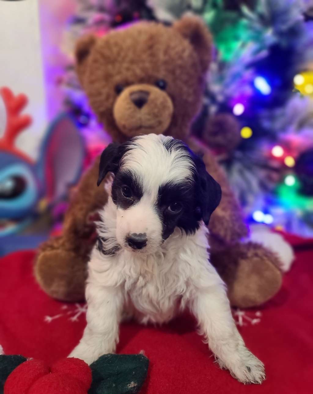 Long Haul's The Sky's the Limit, Everest