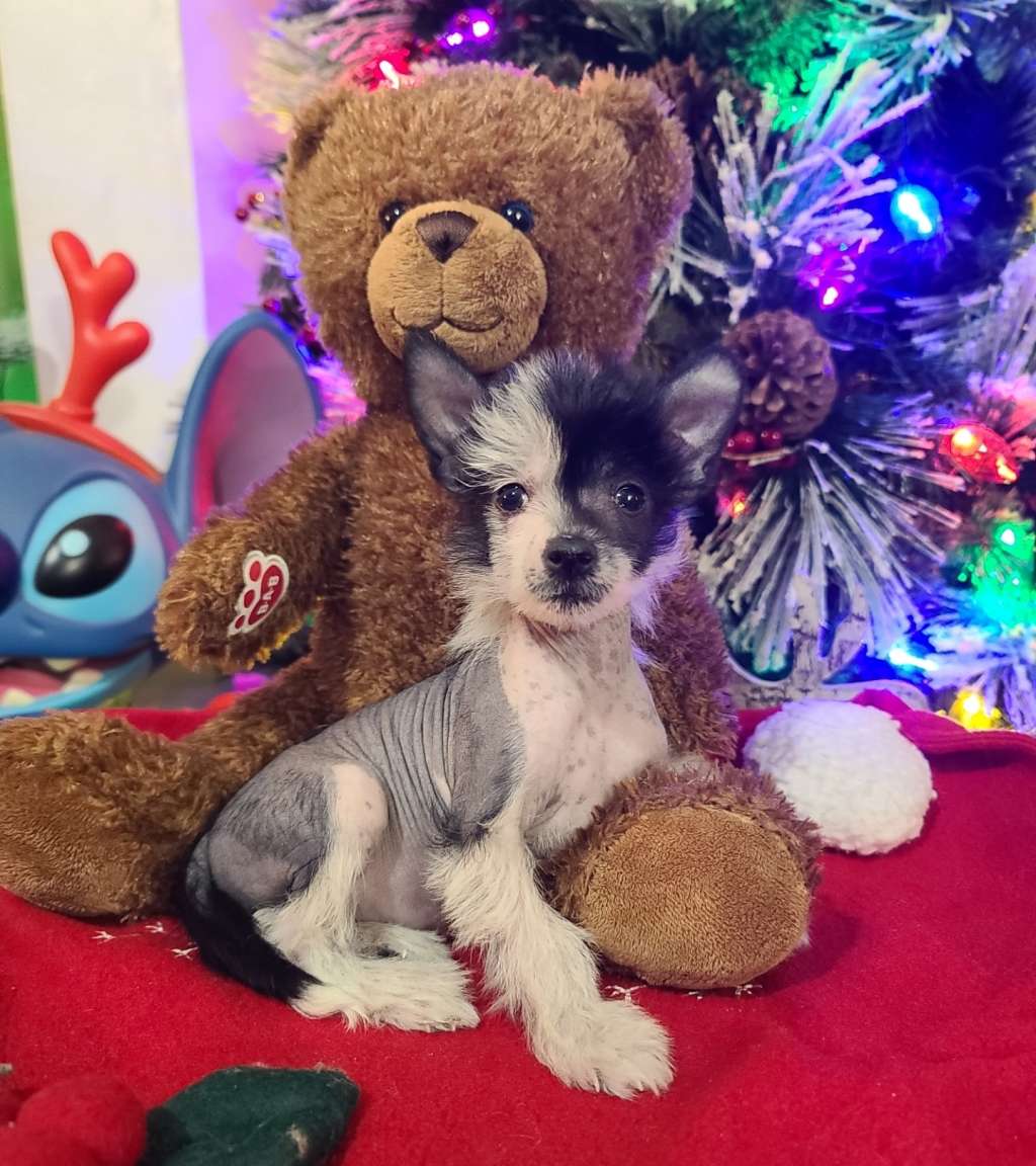 Long Haul's In the Moment Maddening in Envy