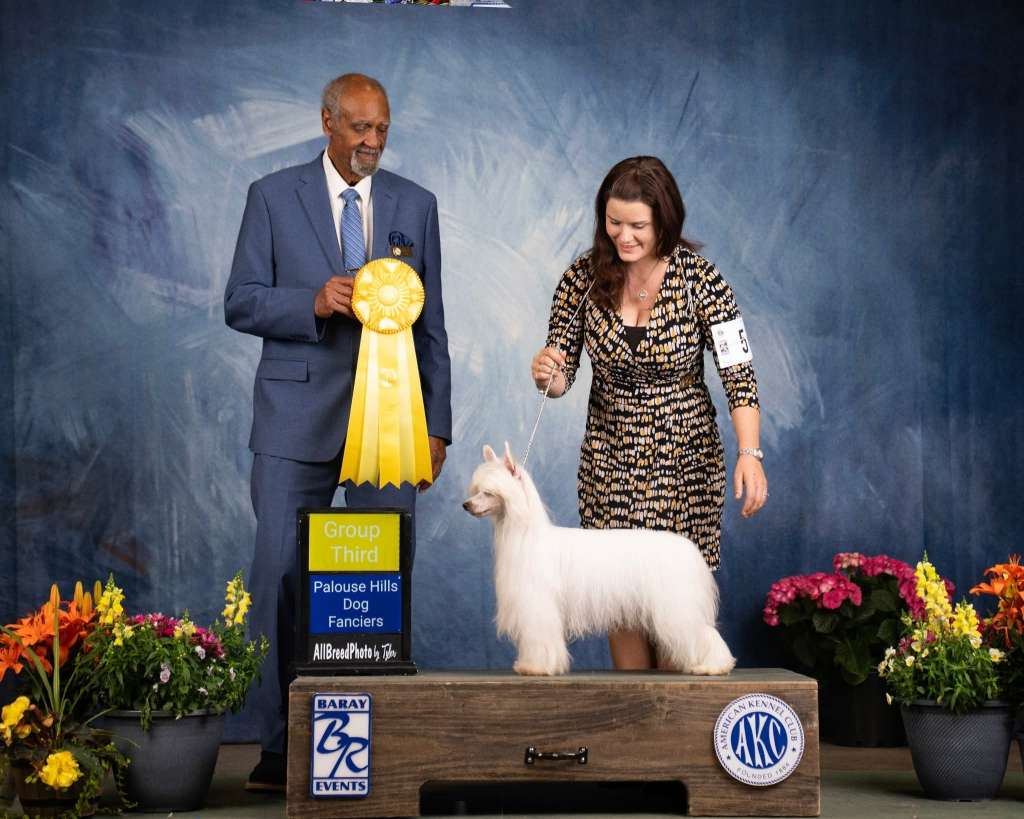 Gchs Ch Funtymes Candle In The Wind