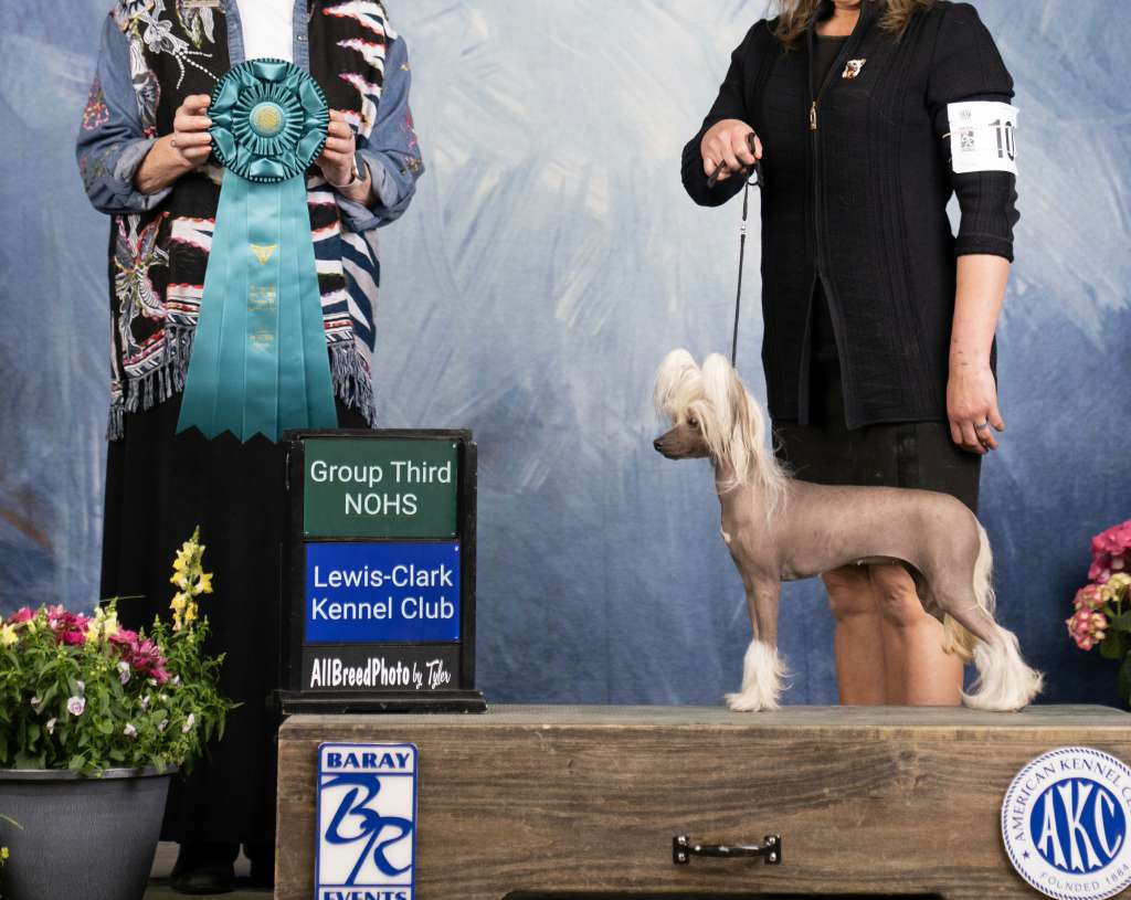 Ch Funtymes With A Twisted Sister