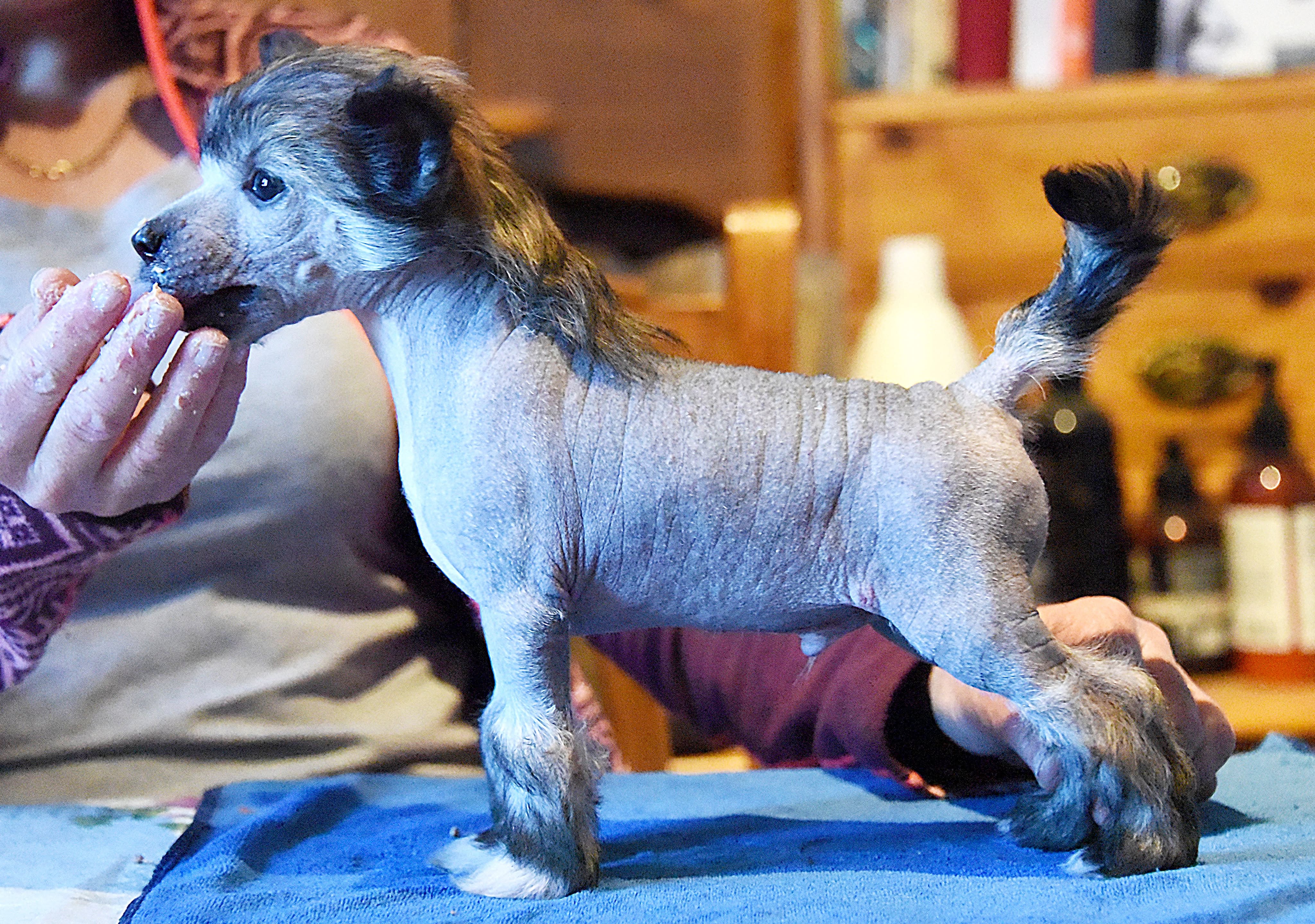 Jean Dark Never Is A Promise