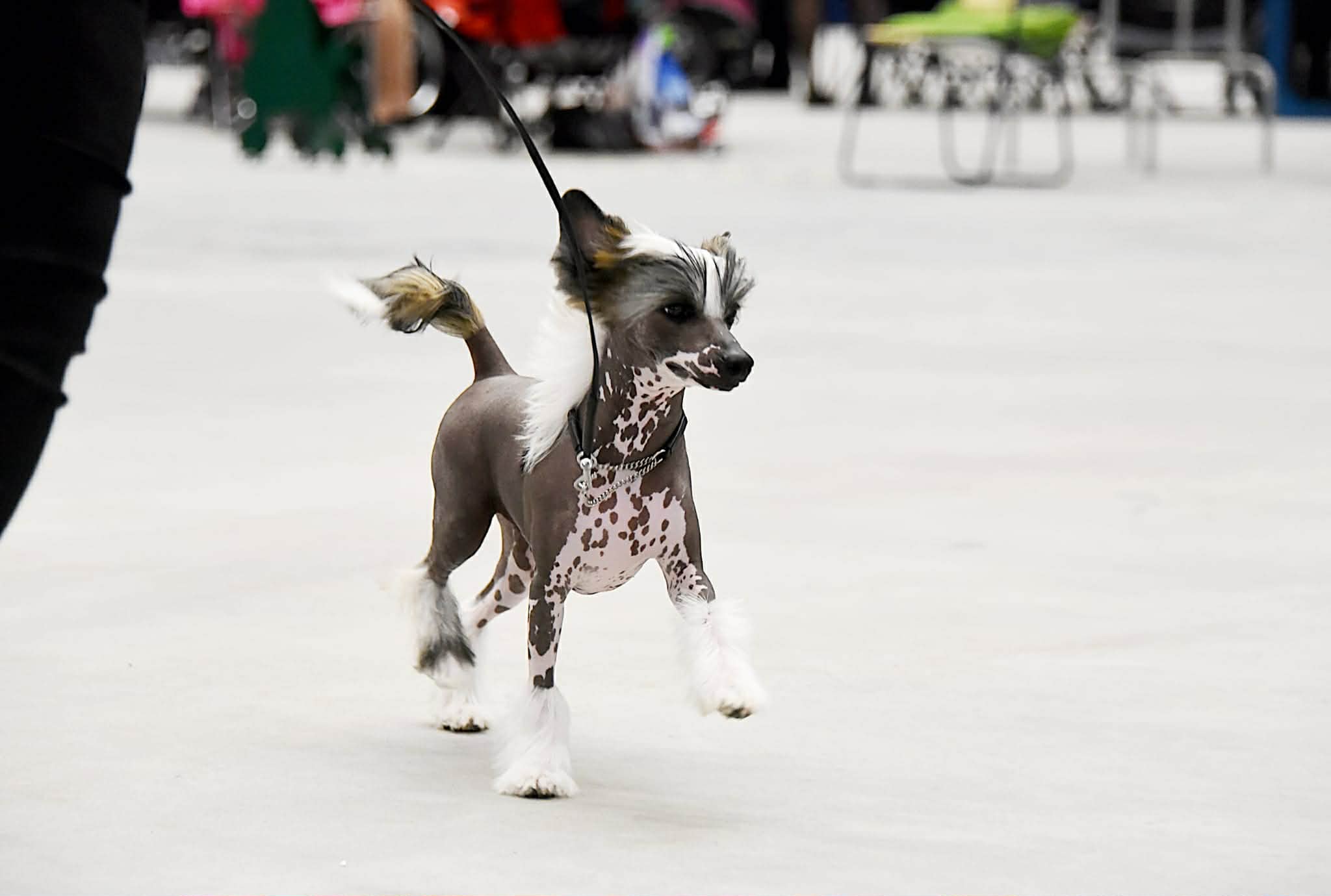 Jean Dark Just As I Am