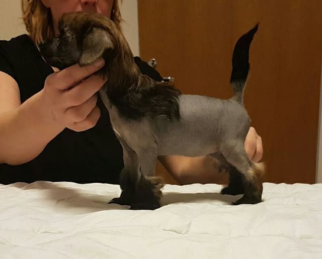 Mamres Just Adora Ball