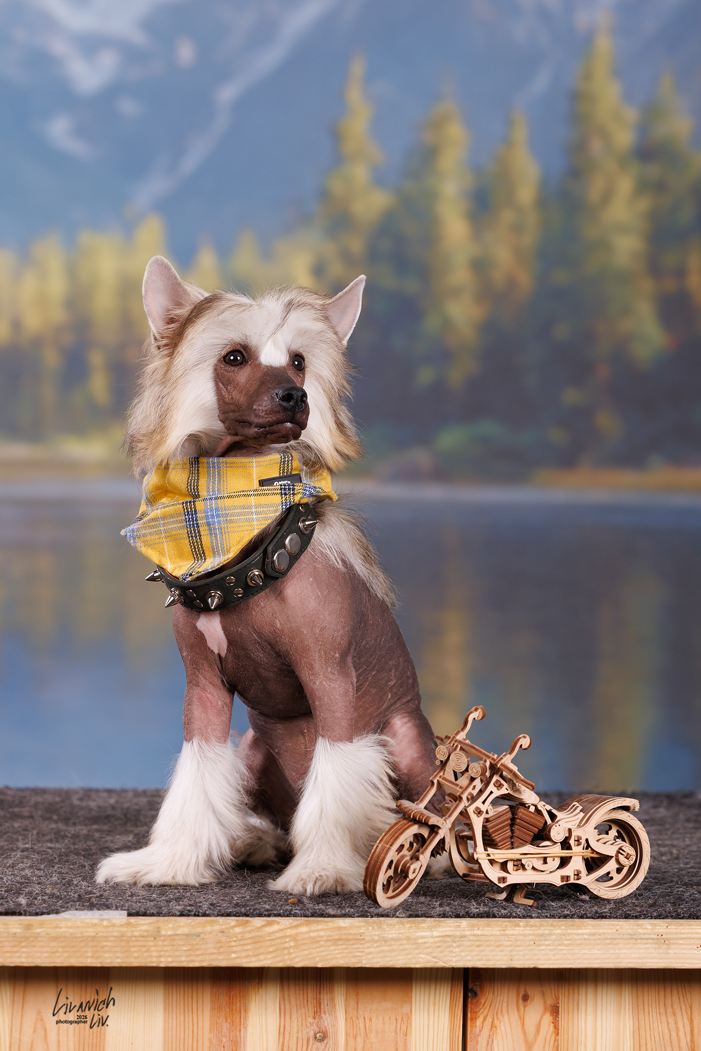 Rolana Family Ai Am Special