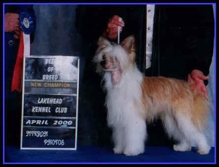 Alines Cee Cee Nevar