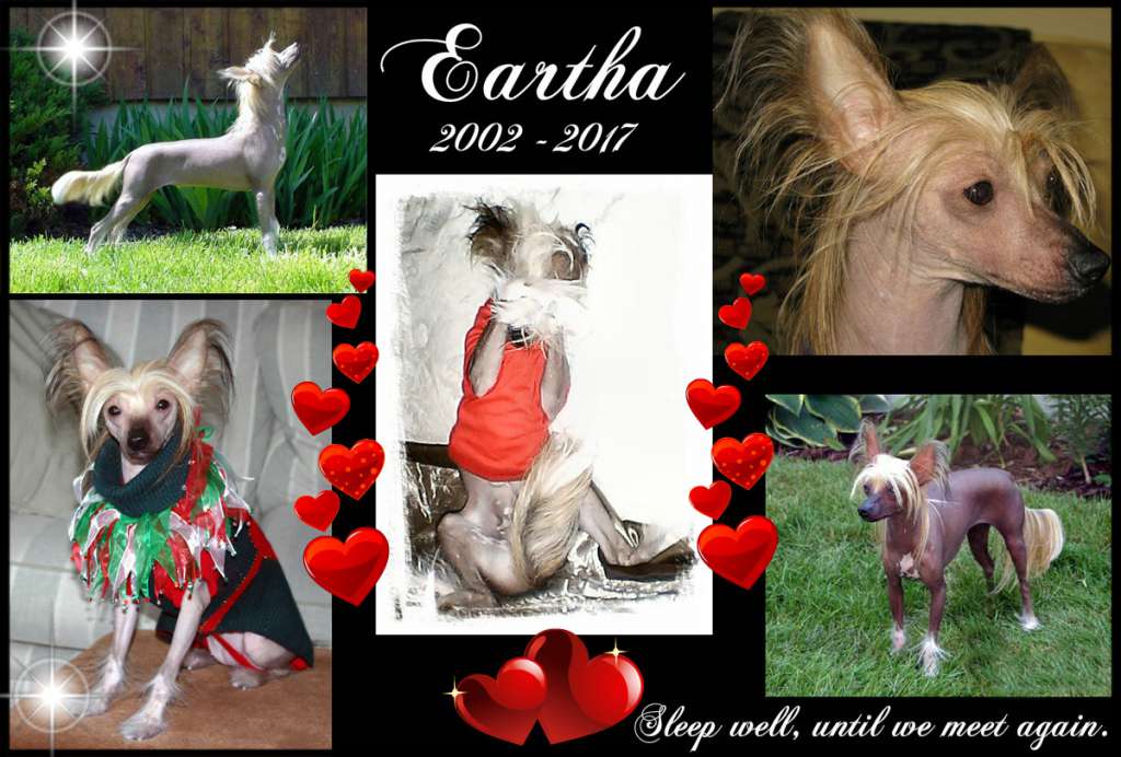 Altair Earth Witch Geomancer (iris atrophy)