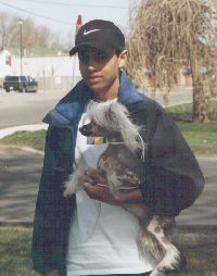 Altair Woodlyn Devil's Advokat