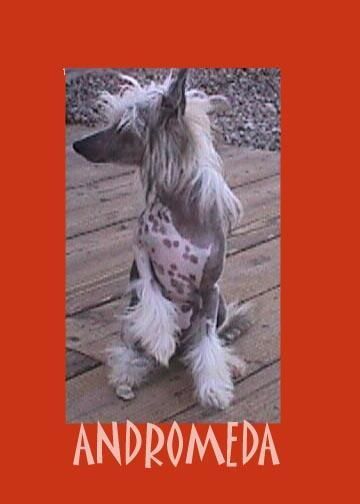 Babylon Twilight Andromeda