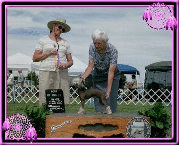 Babylon Winged Itzacoatl