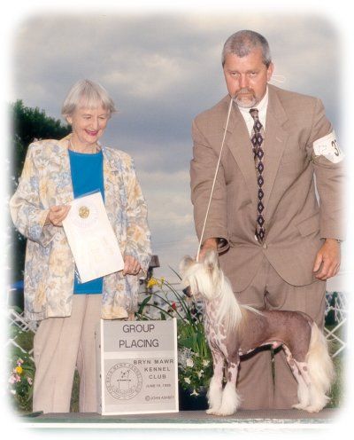 Bayshore Sol-Orr Hi-Tech SOD