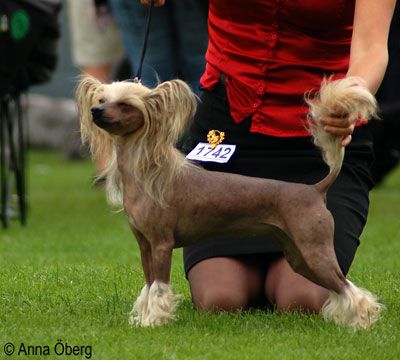 Beddi's Bonnie Blossom