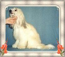 Belshaw's Cool Water Woman