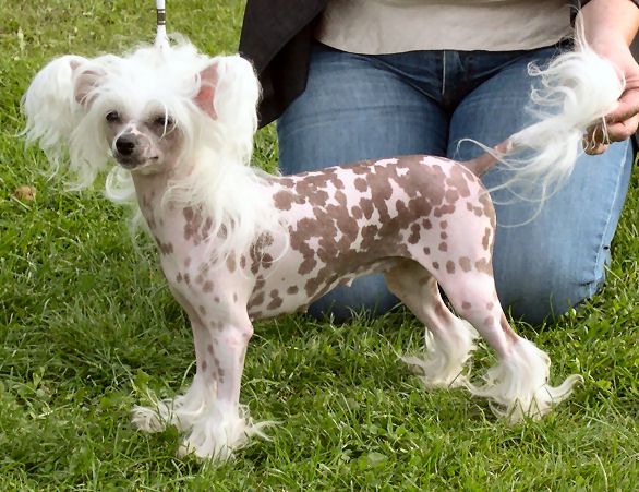 Belshaw's Sexy Graffiti