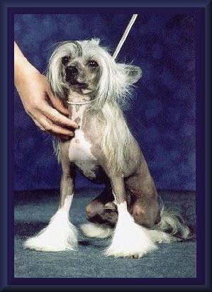 Belshaw's Spellbound